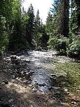 Brook163x